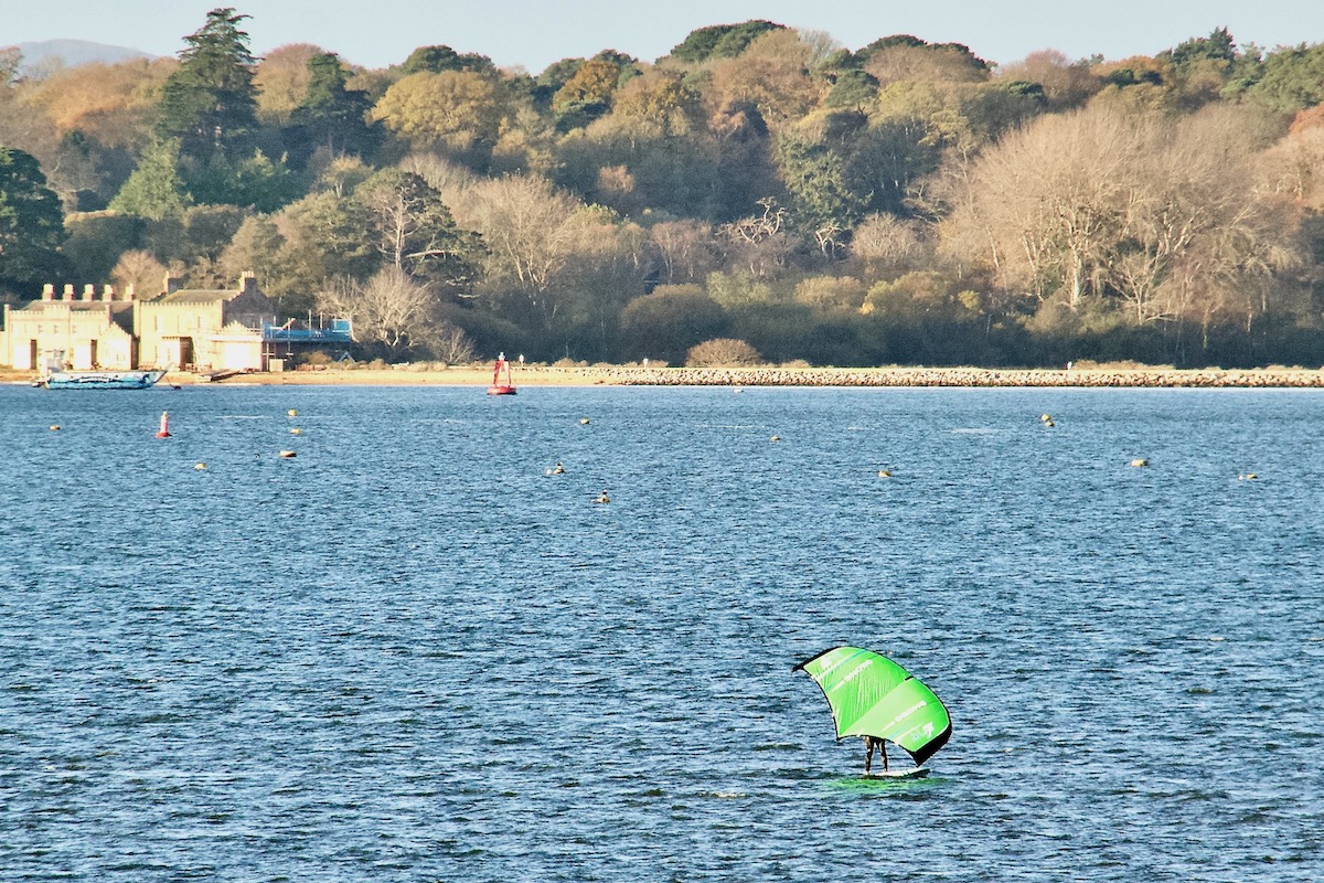 Propelled by Wings on Poole Harbour, Dorset