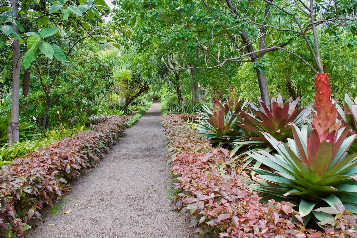 Puerto de la Cruz Botanical Centre on Tenerife
