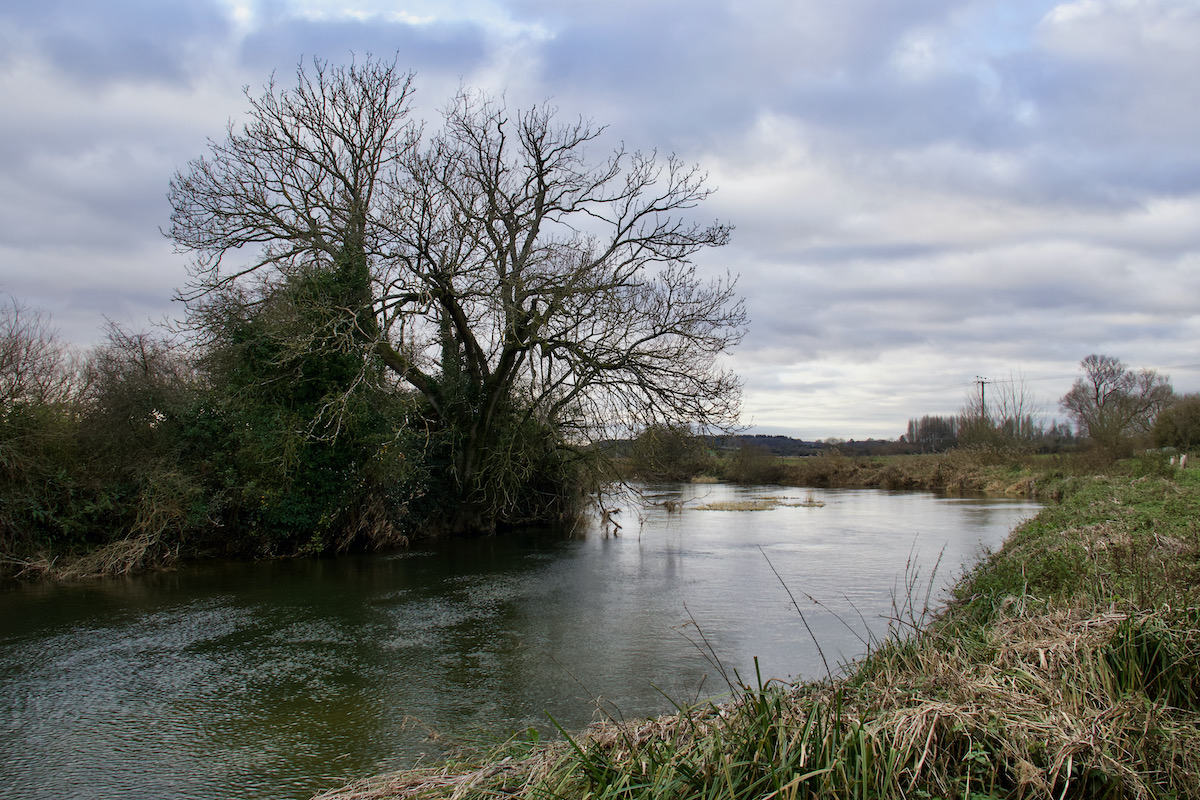 River Stour near Wimborne in Dorset