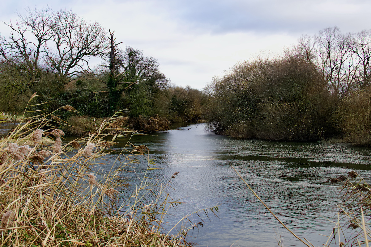 River Stour, Wimborne in Dorset