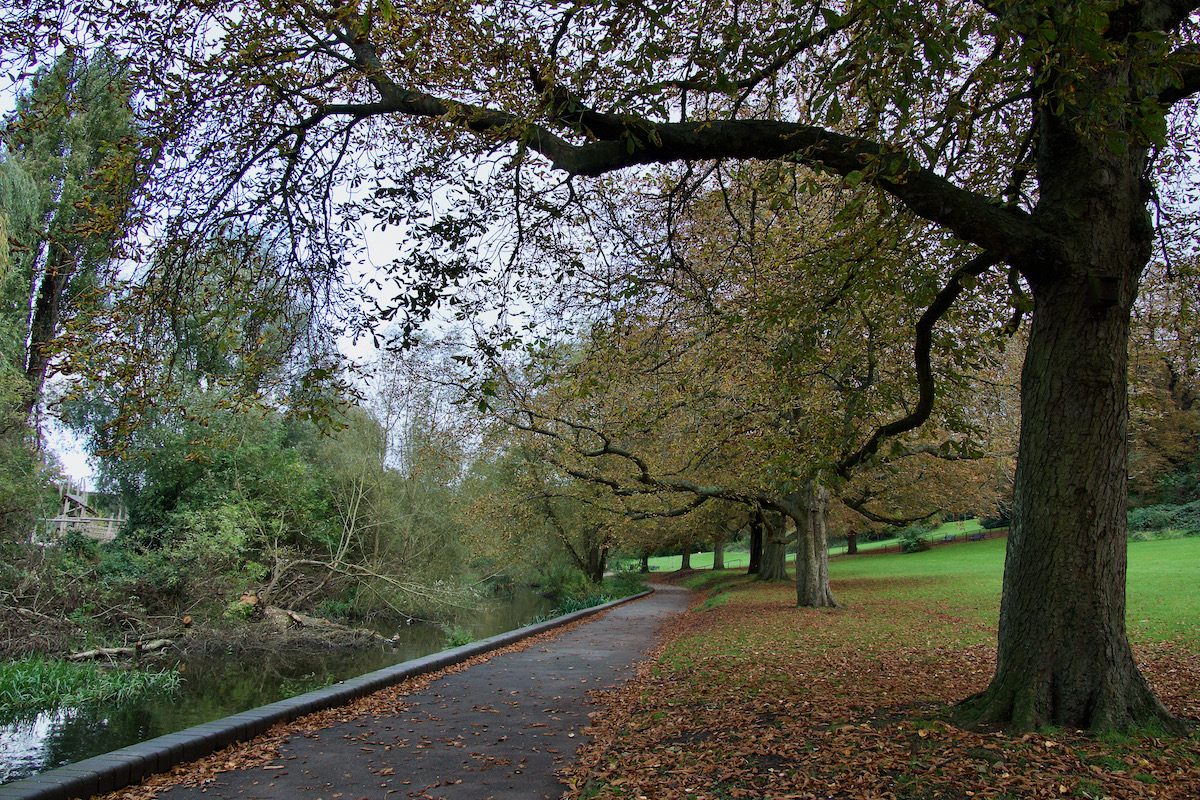 Riverside Walk in Oxhey Park, Watford