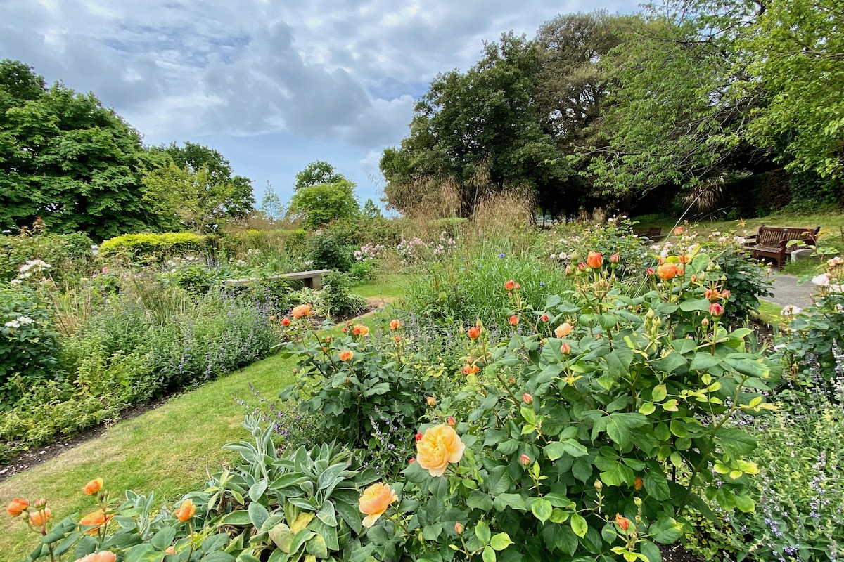 Rose and Flower Garden in Poole Park, Dorset