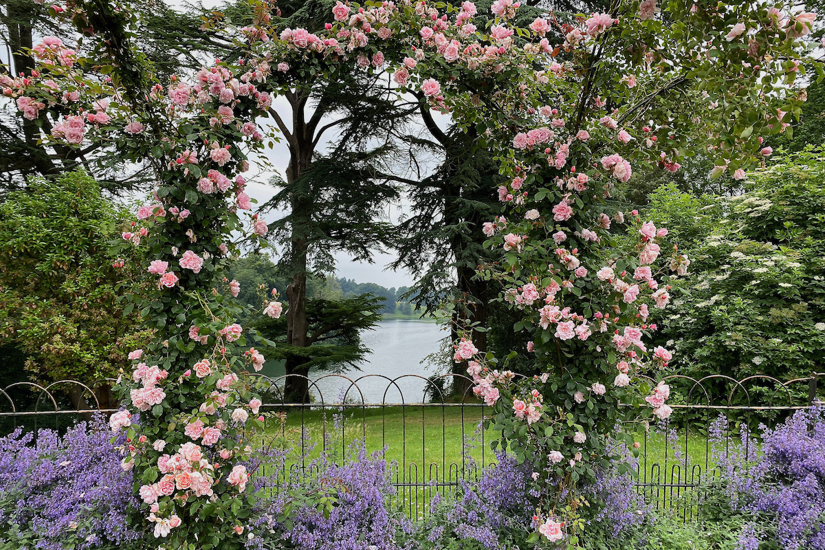 Rose Garden at Blenheim Palace in Oxfordshire