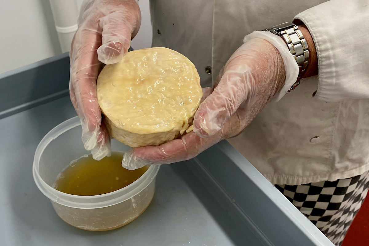 Rubbing Beer into the Rind of a Renegade Monk Cheese