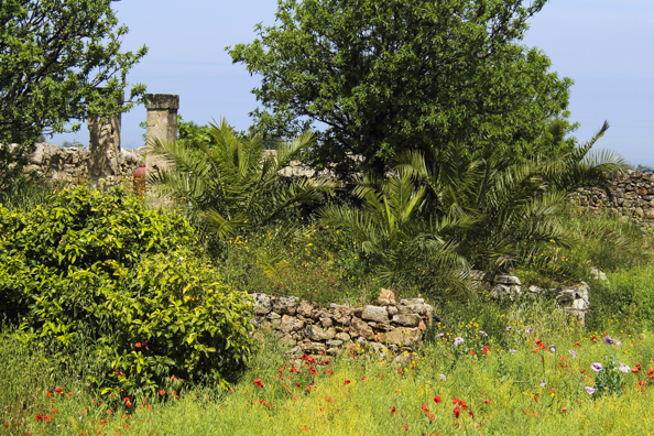 Santa Barbara archaeological site in Polignano a mare Puglia