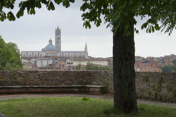 Siena from its city walls, Tuscany, Italy
