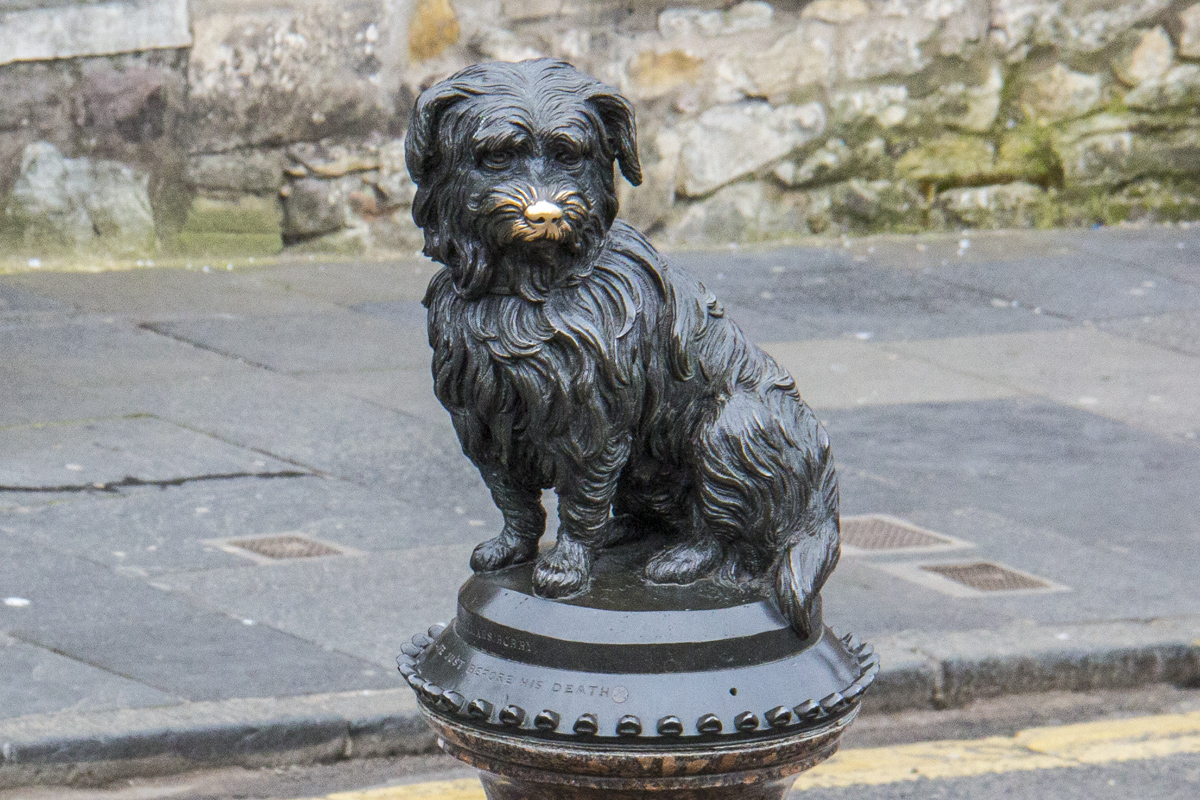 Statue of Greyfriars Bobby in Edinburgh 6674
