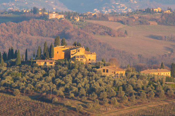 Sun-kissed landscape around San Gimignano, Tuscany Italy