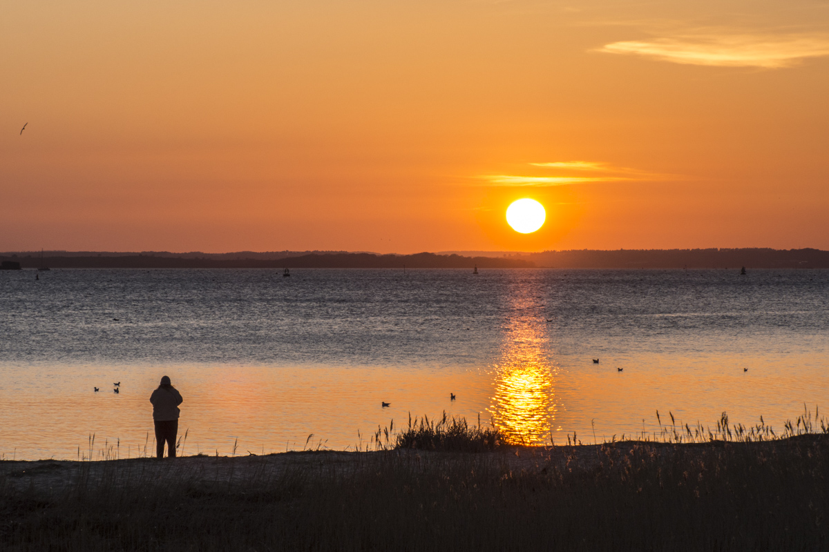Sunset over Poole Harbour in Dorset  4040674