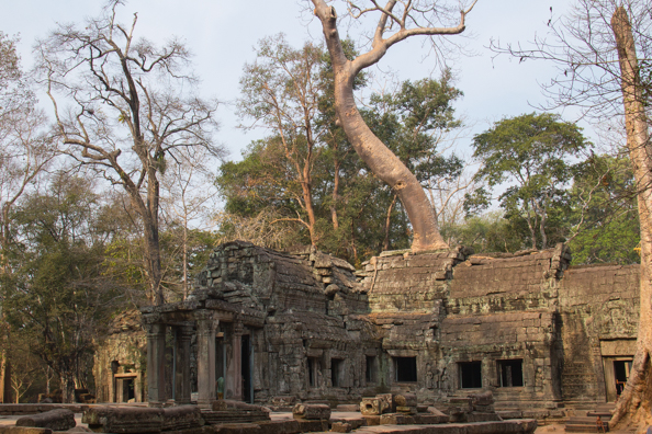 a Prohm at Angkor Thom in Siem Reap, Cambodia