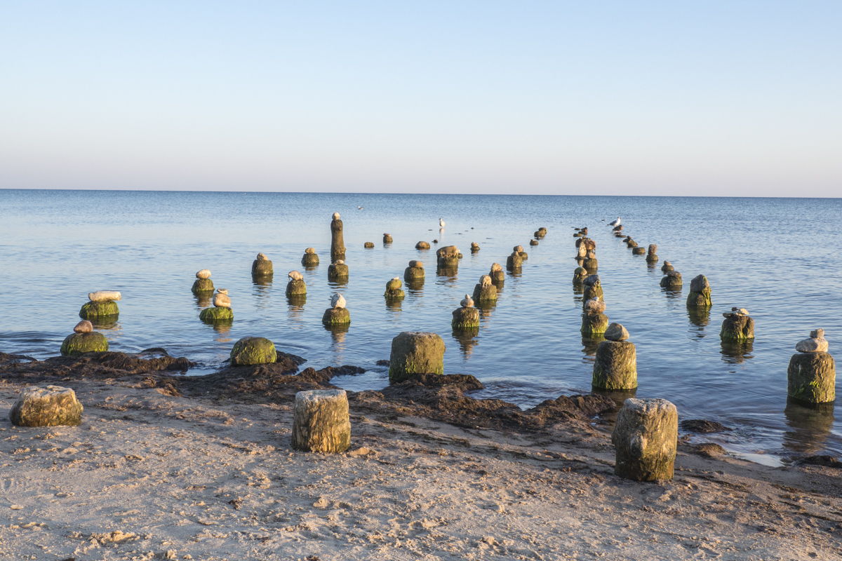 The Beach at Pāvilosta in Latvia   8280508