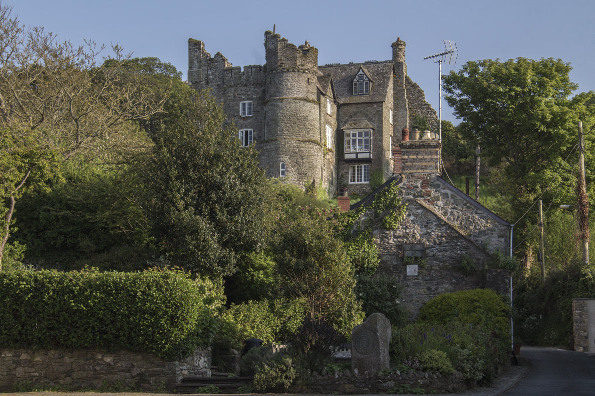 The castle in Newport, Pembrokeshire, Wales 8628