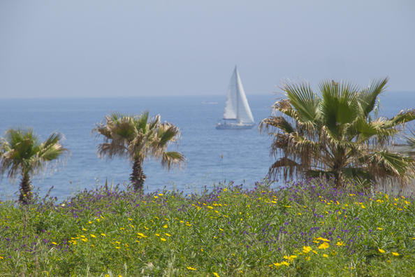 The coast of Puglia  in Italy