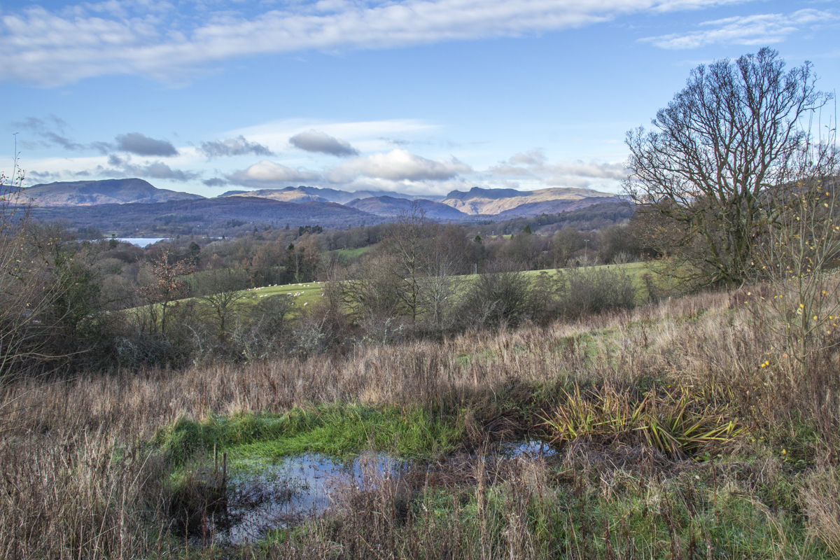 The Countryside Surrounding Windermere in Cumbria, UK100
