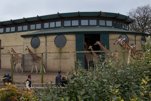 The Giraffe House at Marwell Zoo in Hampshire