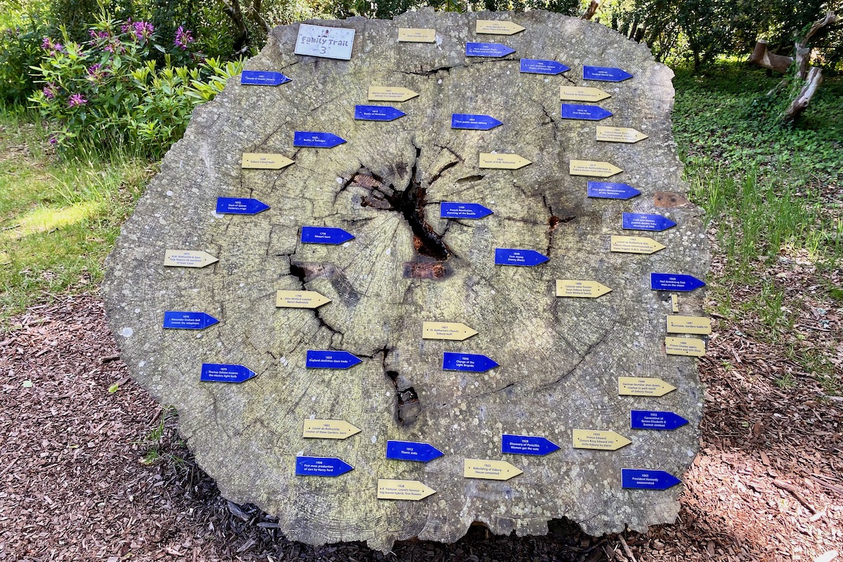 The History Tree at Exbury Gardens in Hampshire