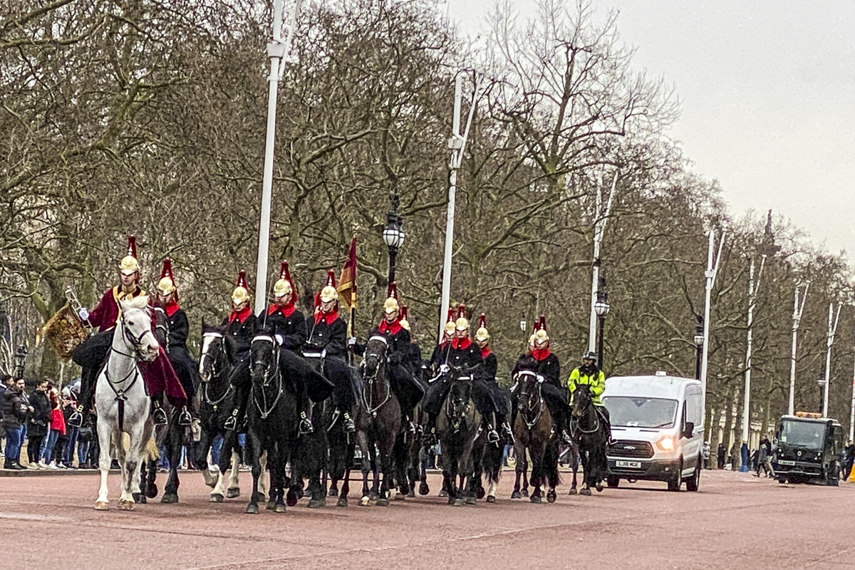 The Household Cavalry Make their Way Along the Mall in London    IMG 3966