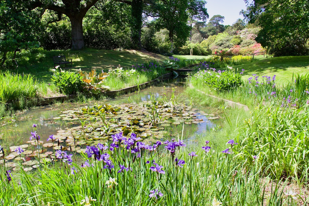 The Iris Garden at Exbury Gardens in Hampshire