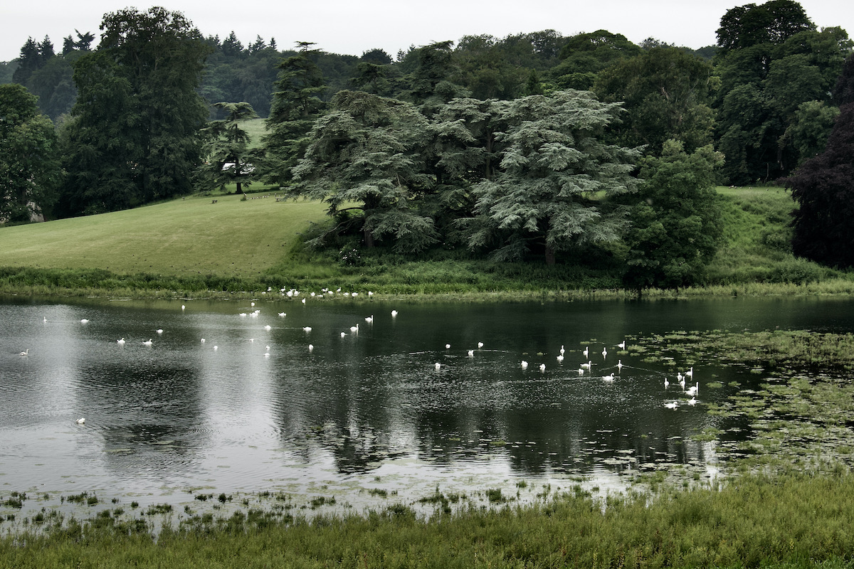 The Lake at Blenheim Palace in Oxfordshire