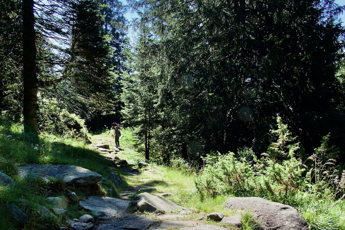 The Path to Panorama in Madonna di Campiglio in Italy