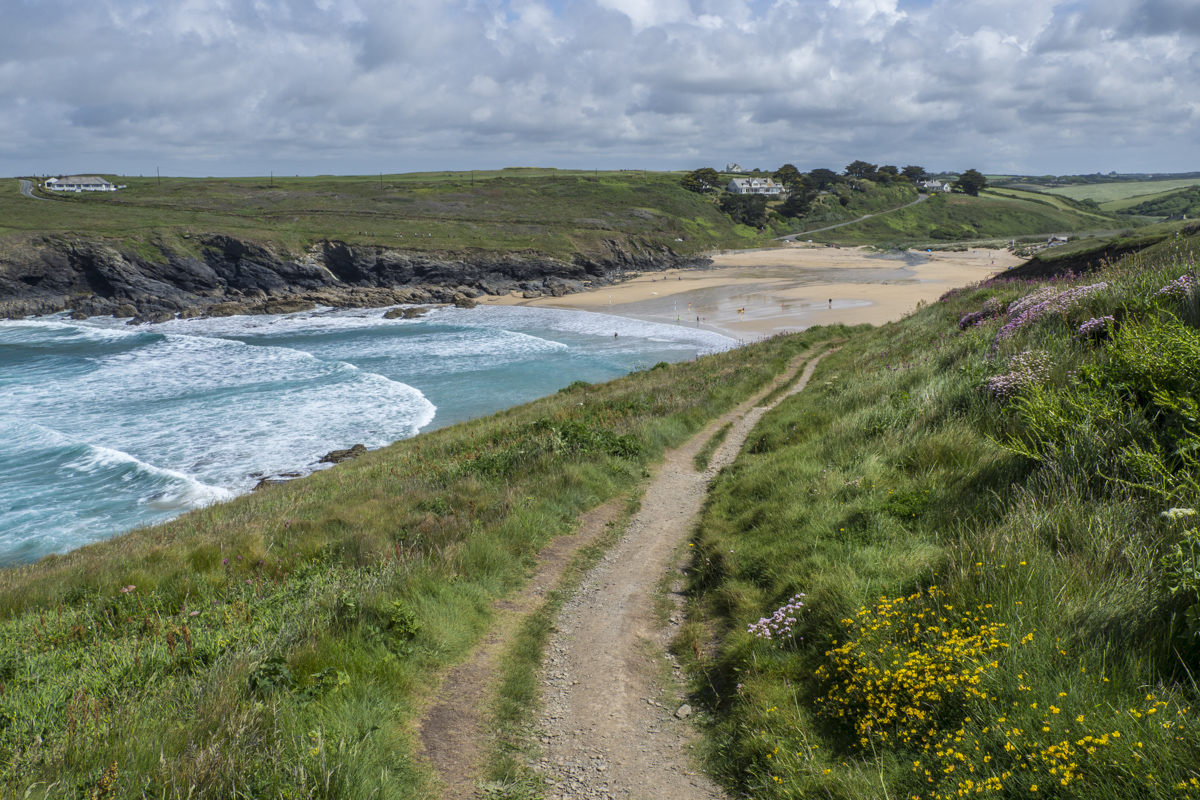 The Path to Poldhu Cove on the Lizard Peninsula in Cornwall    6033892