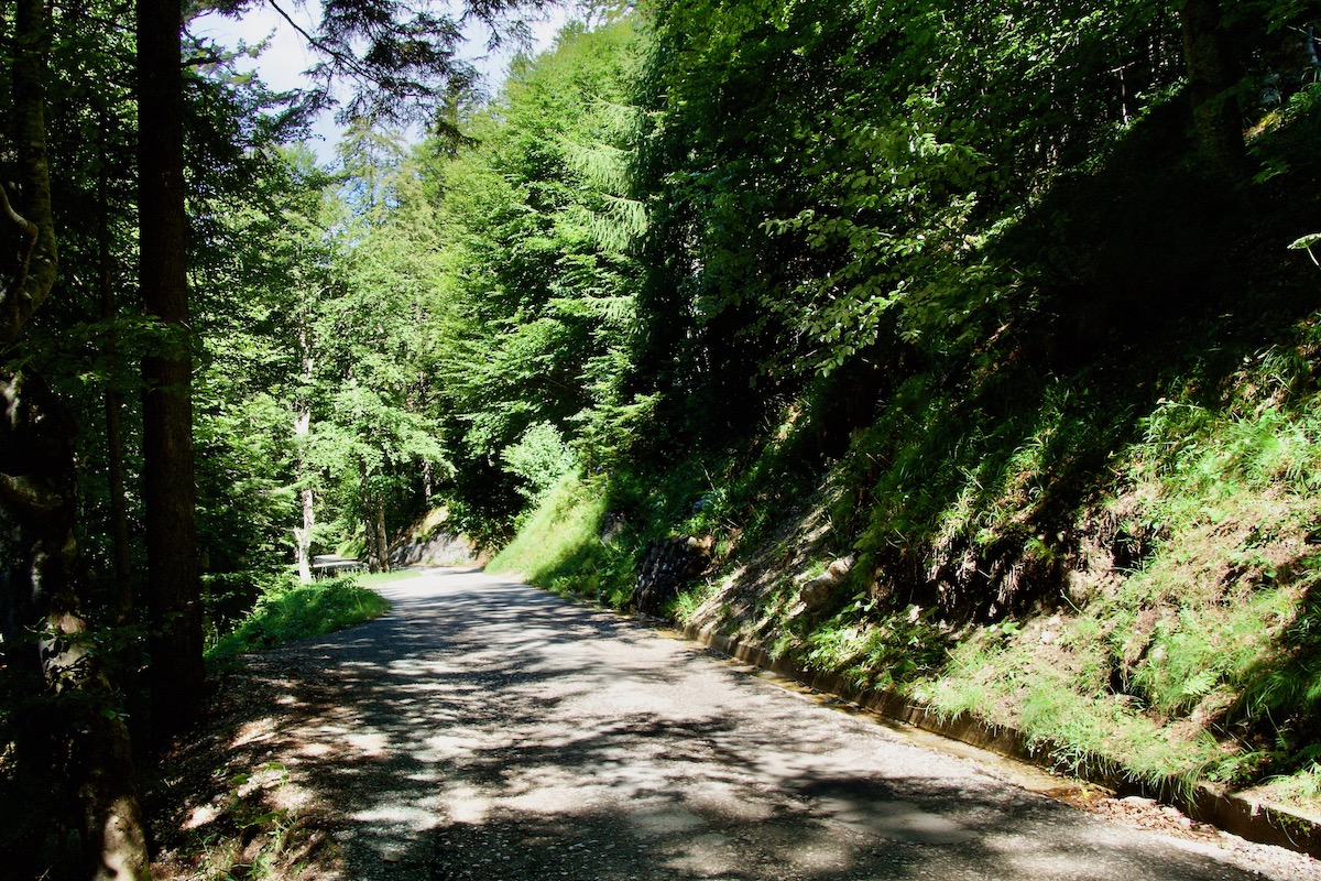 The Road from Vallesinella to Madonna di Campiglio