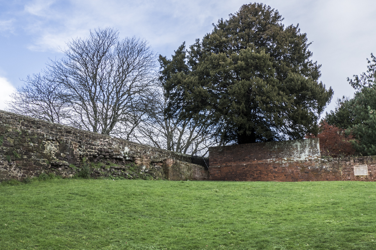 The Roman Walls of Exeter in Devon 060284