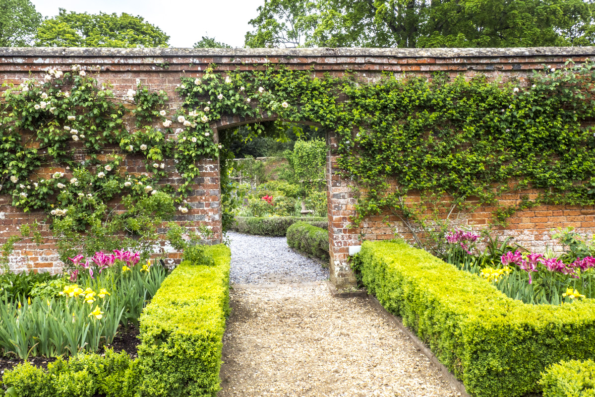 The Rose Garden at Mottisfont in the Test Valley in Hampshire   5033130
