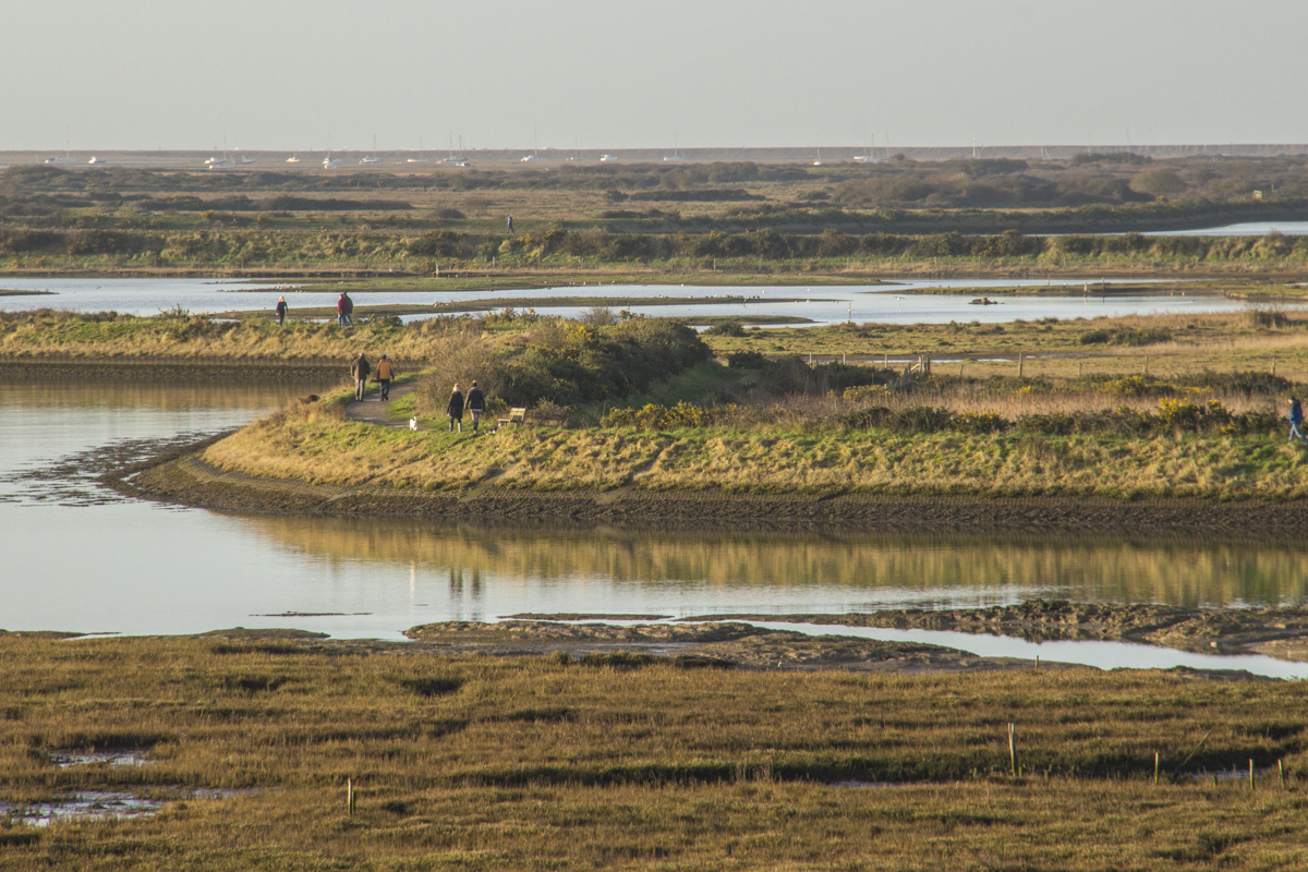 The Salt Marshes at Lymington in Hampshire, UK  3800
