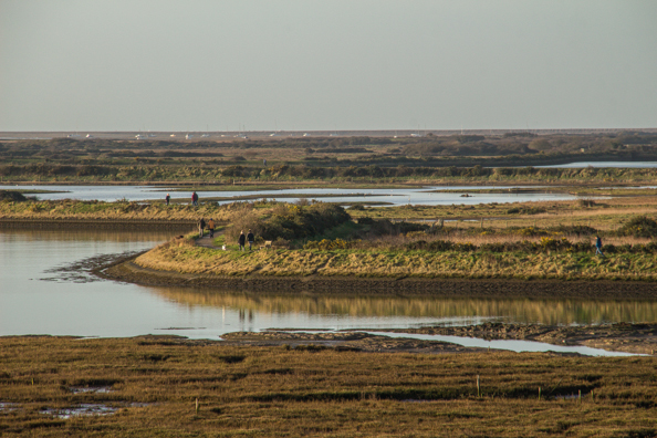 The Salt Marshes in Lymington, New Forest, Hampshire, UK
