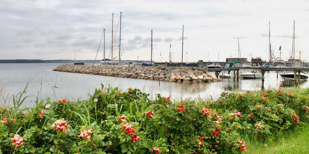 Juelsminde: A Popular Coastal Town in Denmark