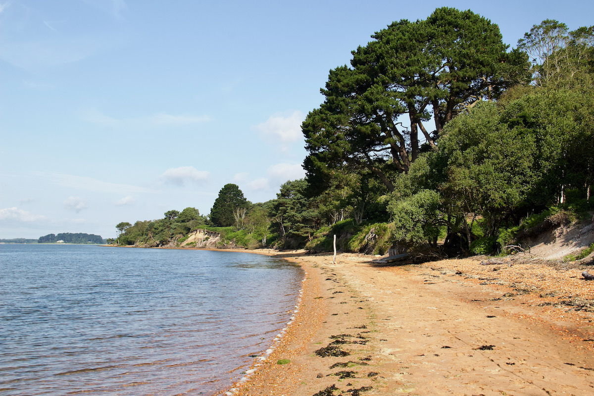 The South Shore of Brownsea Island in Dorset