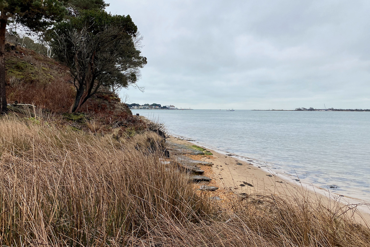 The South Shore on Brownsea Island in Poole Harbour, Dorset