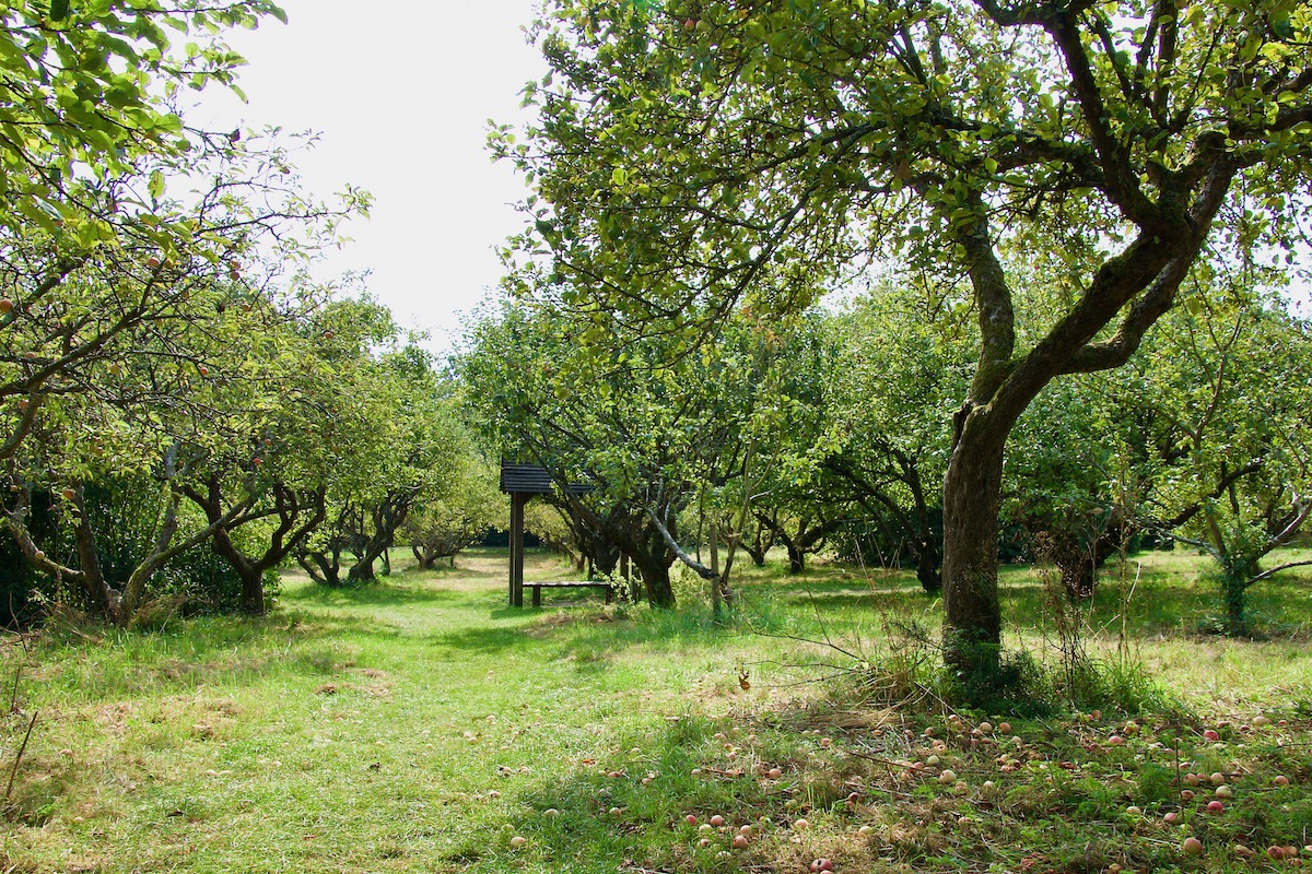 The Stanley Lord Orchard in Shenley, Hertfordshire