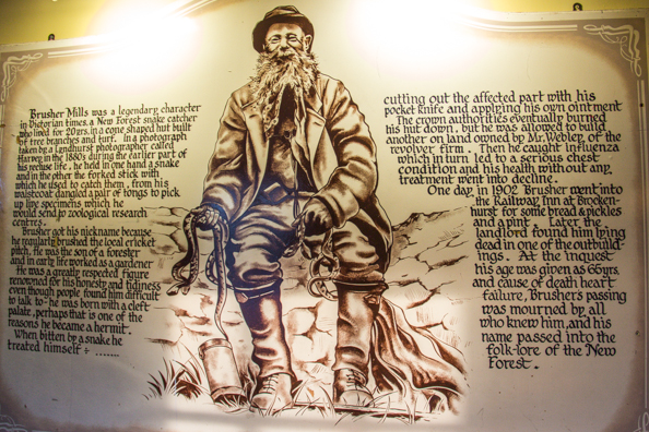 The story of the Snakecatcher on the wall of the Snakecatcher Pub in Brockenhurst, New Forest