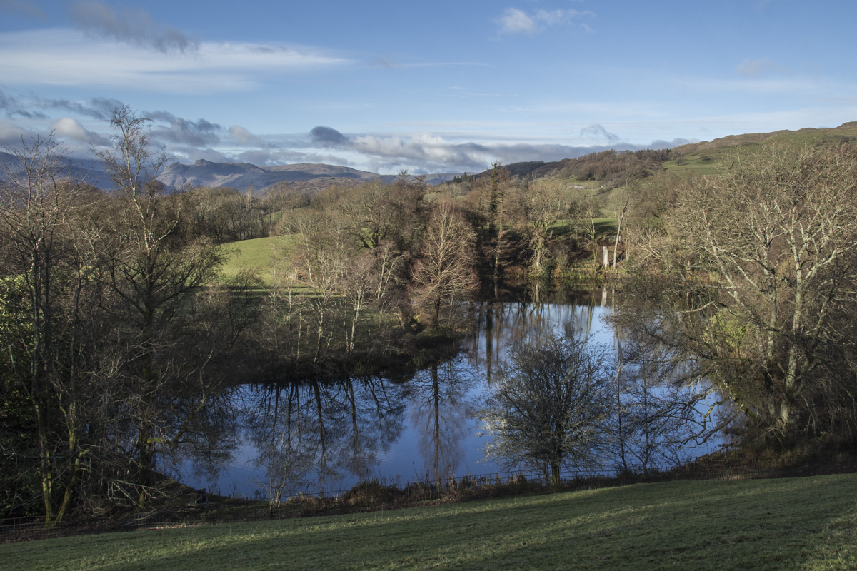 The Tarn at Holehird Gardens in Windermere in the Lake District UK  0144
