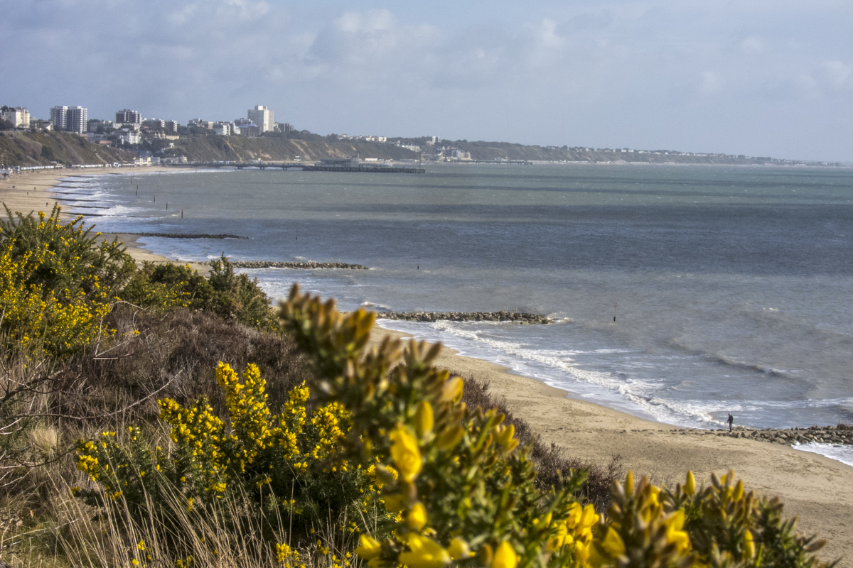 The View from Canford Cliffs above Bournemouth Beach    6469