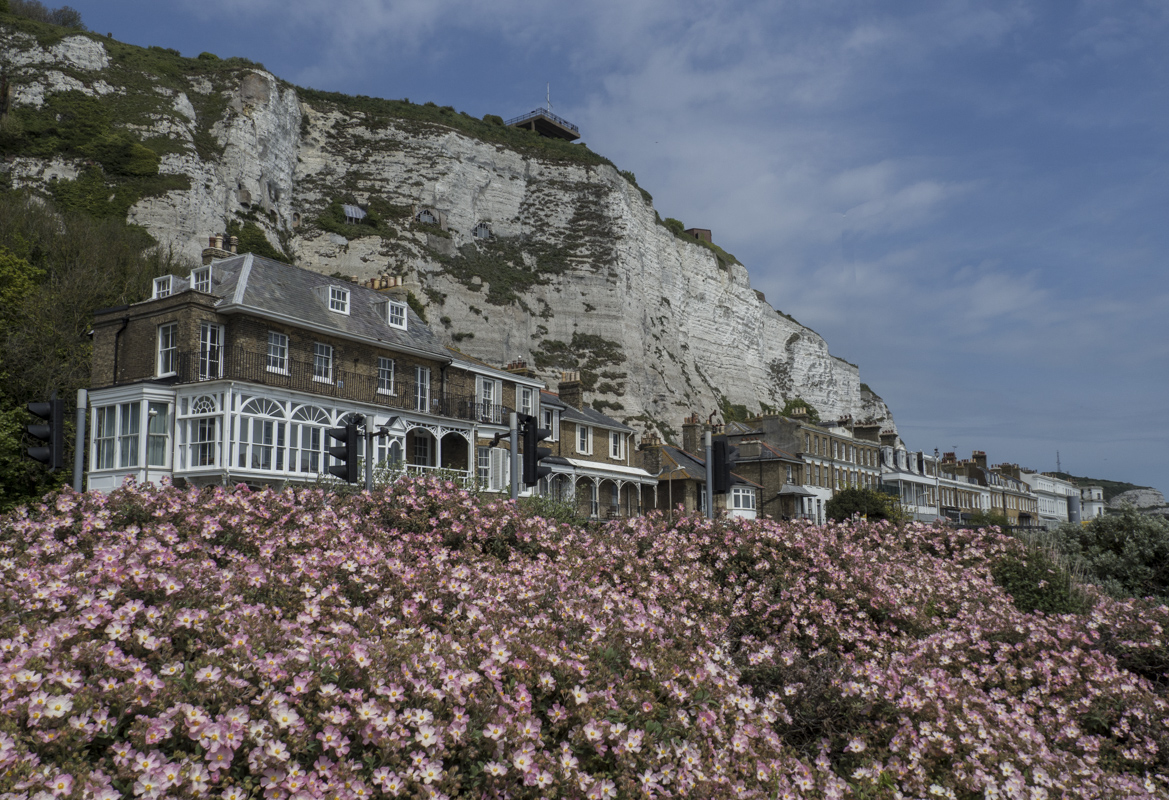 The White Cliffs of Dover in Dover, Kent 5070688