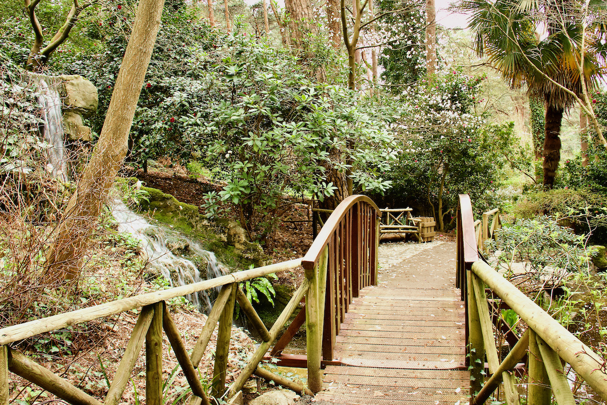 The Woodland Walk at Compton Acres, Canford Cliffs Village in Dorset