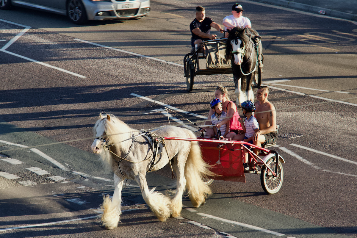 Travellers' Horse and Carts in Dorset