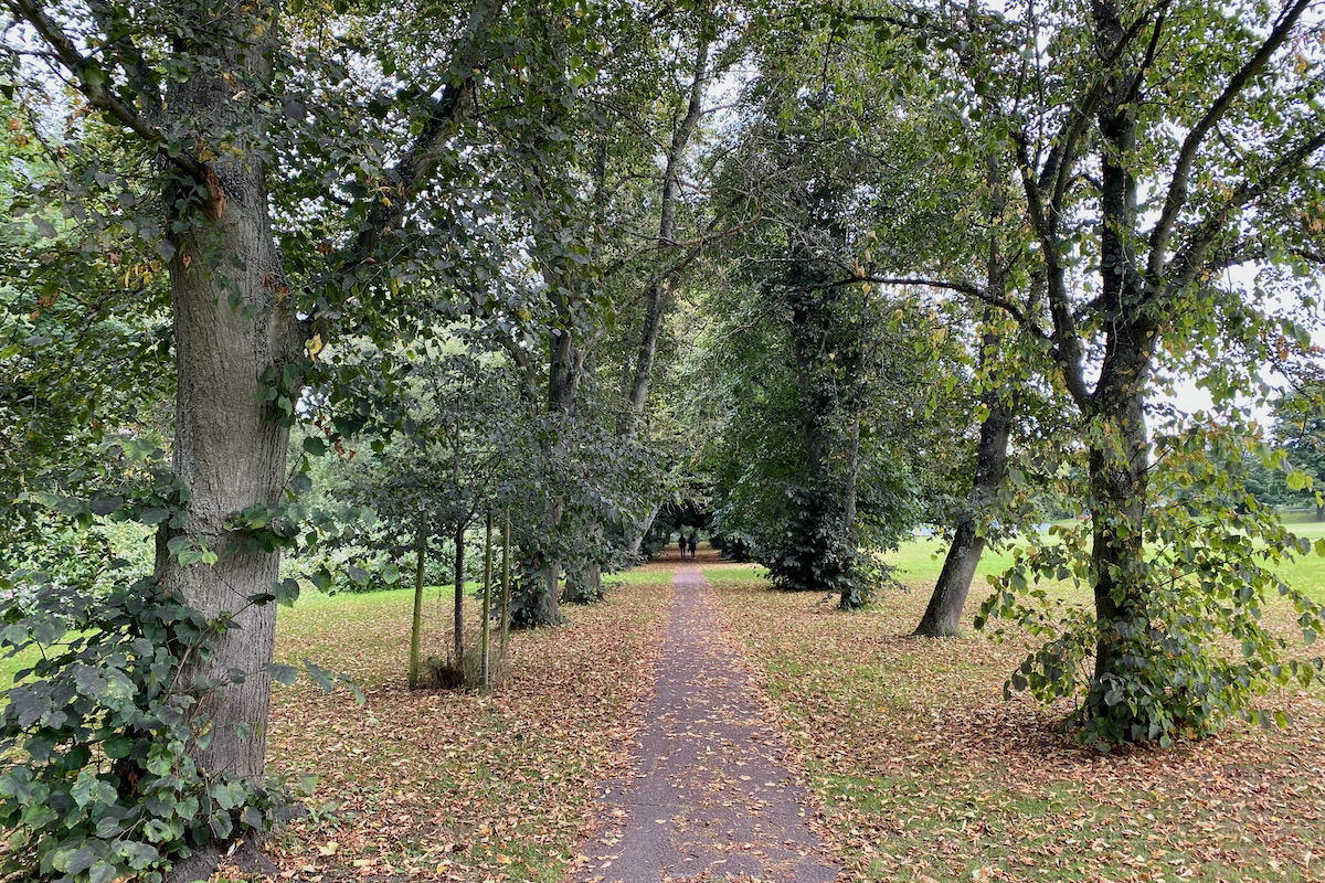 Tree Lined Path near Wetherby in Yorkshire