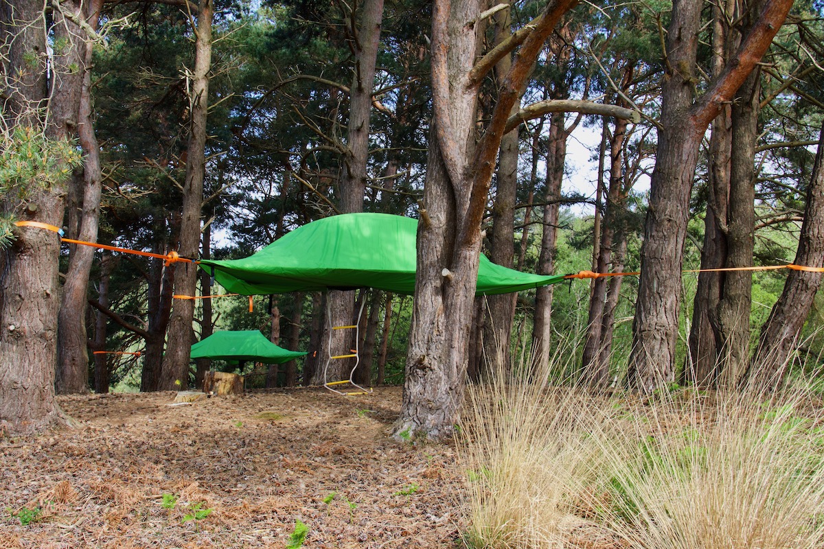 Tree Tents on Brownsea Island in Dorset