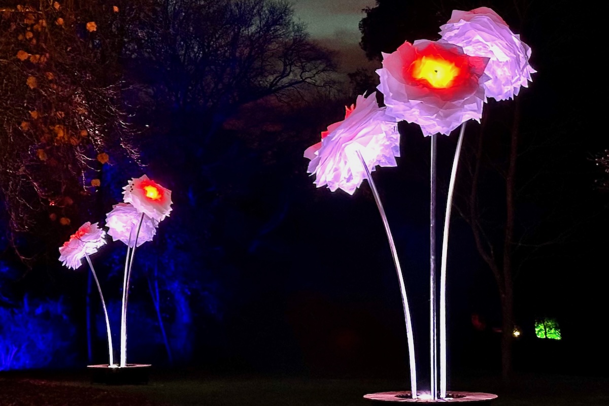 Triffid like Blooms on the Christmas Illuminated Light Trail at Blenheim Palace