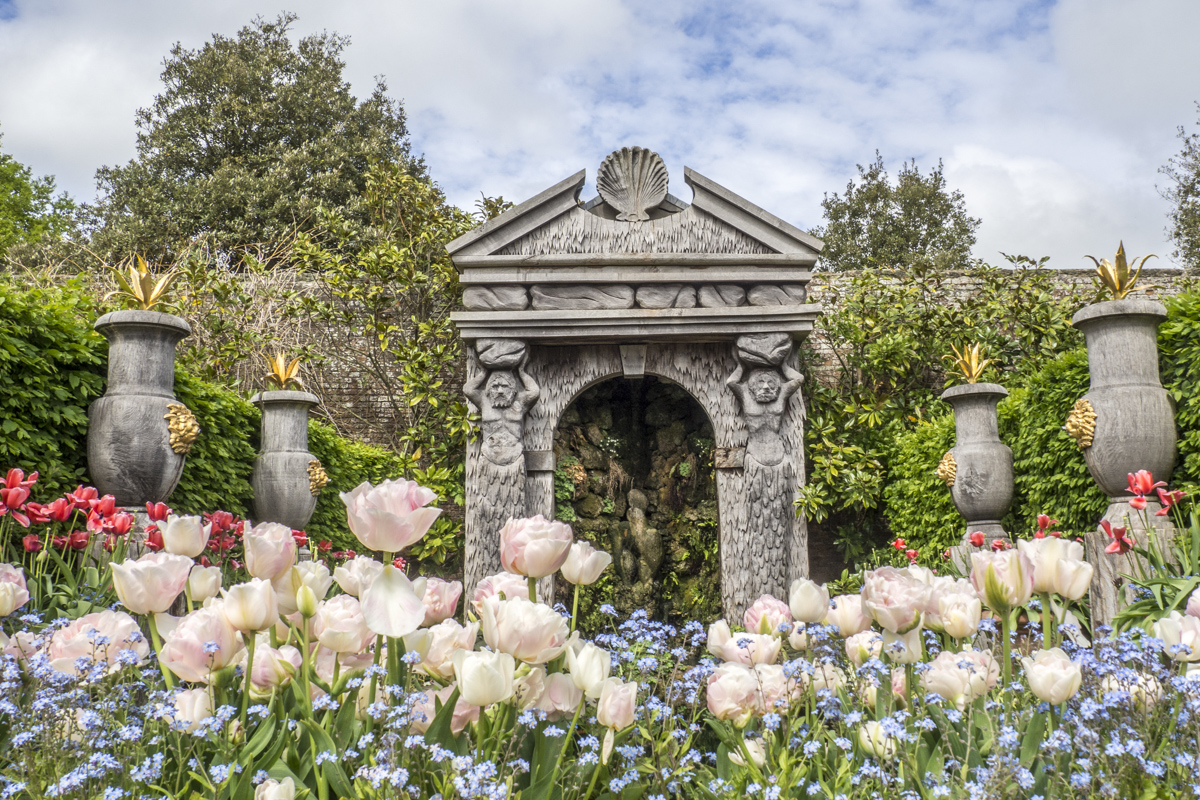 Tulips in the Gardens at Arundel Castle, Arundel in West Sussex  4243147