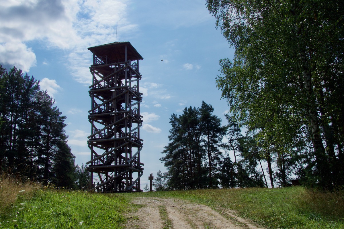 Vasergelišķu Viewing Tower in the Nature park Daugavas loki 8140035