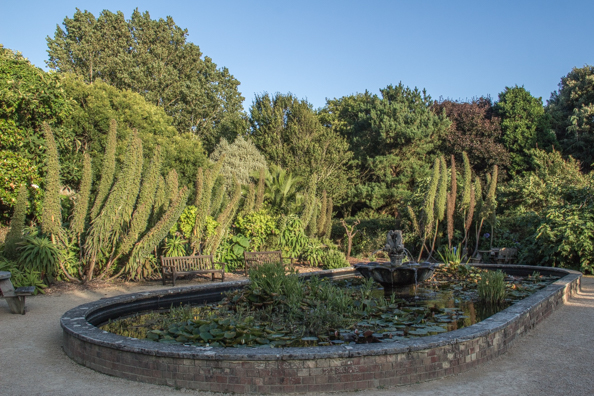 Ventnor Botanic Gardens on the Isle of Wight