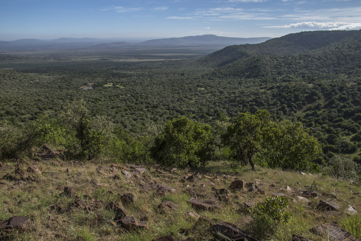 View from the Observation Point on Kileoni Hill in the Enonkishu Conservancy, Kenya  0068