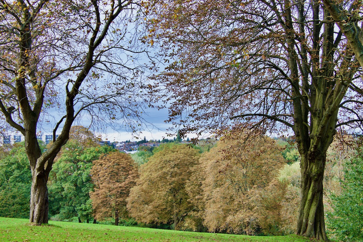 View of Watford from Oxhey Park, Watford A100036