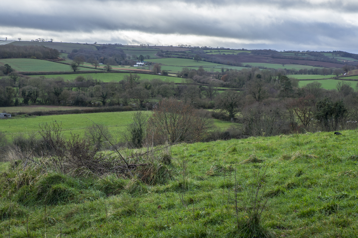 Views from Redvers Ramble  around Crediton, Devon 070545