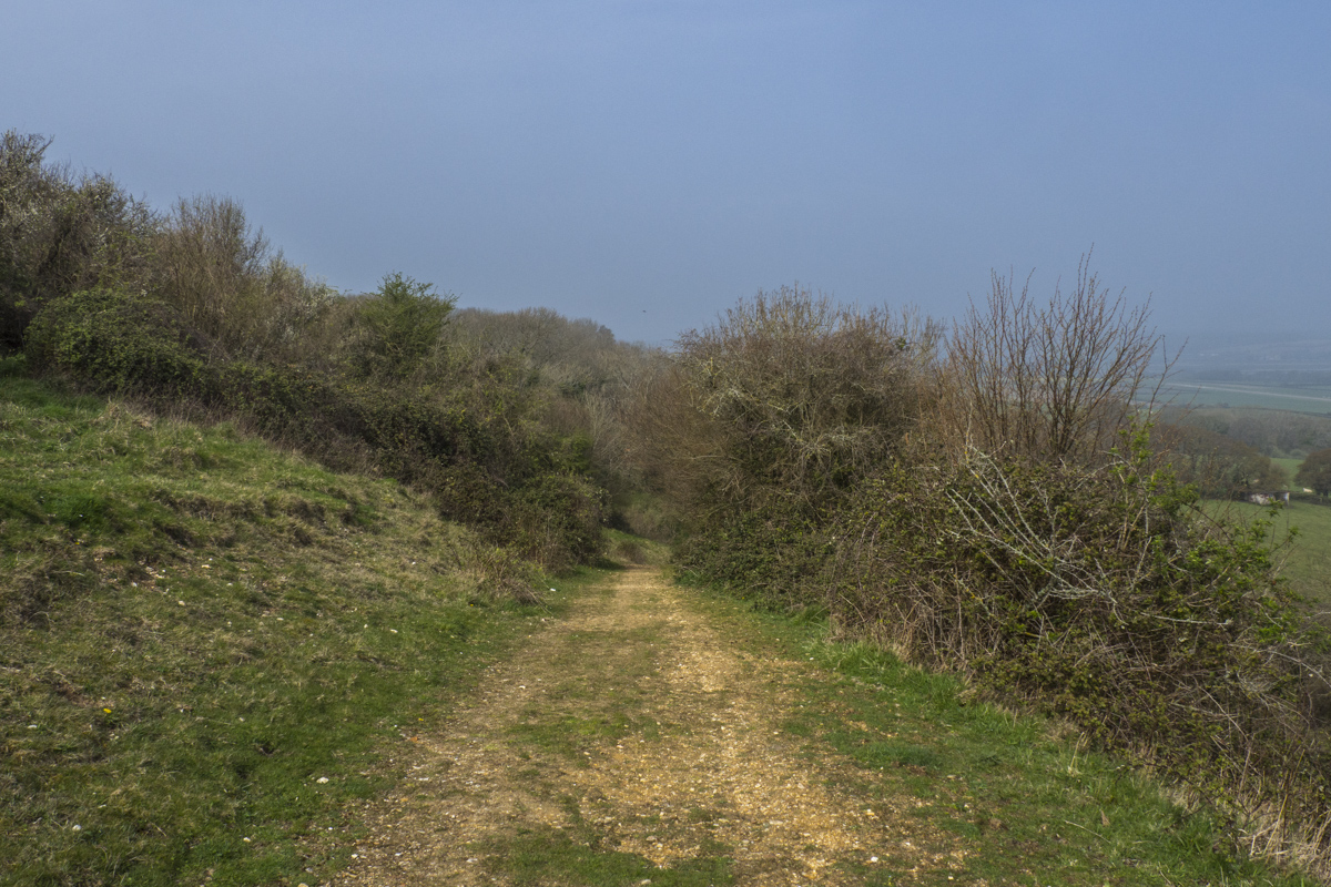 Walking on Culver Down on the Isle of Wight 4071175